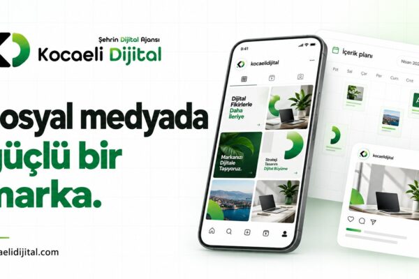 Kocaeli'de Google Ads Optimizasyonu Tıklama Oranı