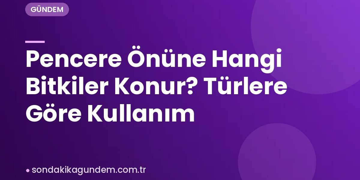 Pencere Önüne Hangi Bitkiler Konur? Türlere Göre Kullanım