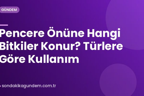 Pencere Önüne Hangi Bitkiler Konur? Türlere Göre Kullanım