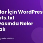 Bloglar İçin WordPress Robots.txt Dosyasında Neler Olmalı